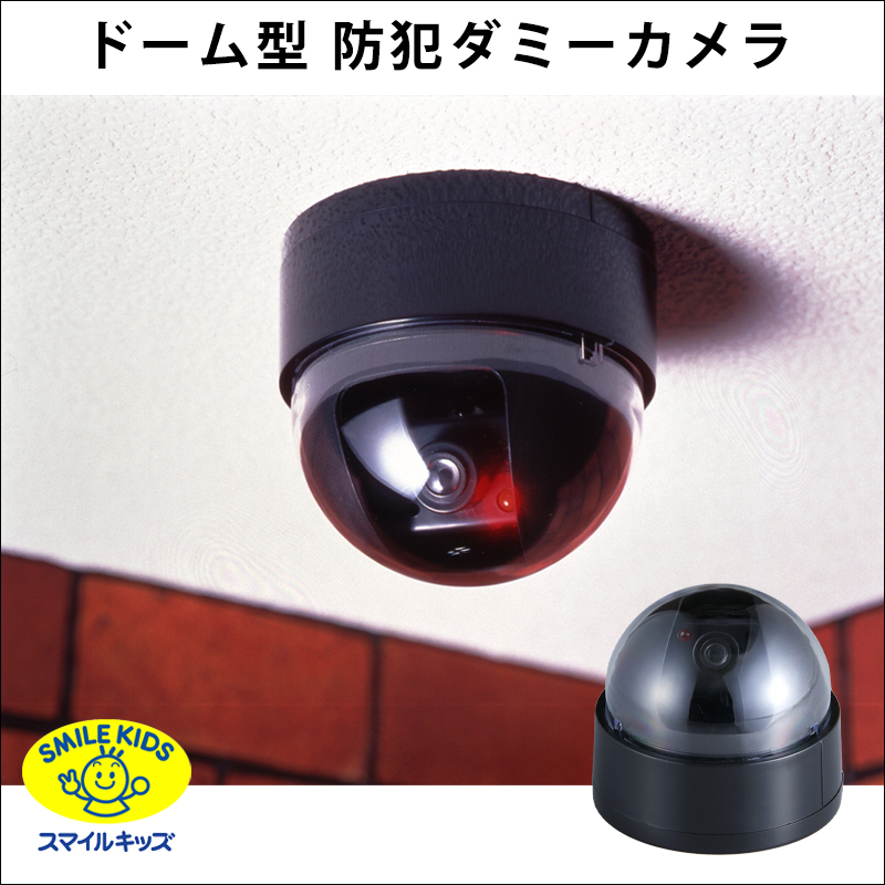 名古屋/【ADC-204-2P】ドーム型防犯ダミーカメラ 2個セット（4962644936854）