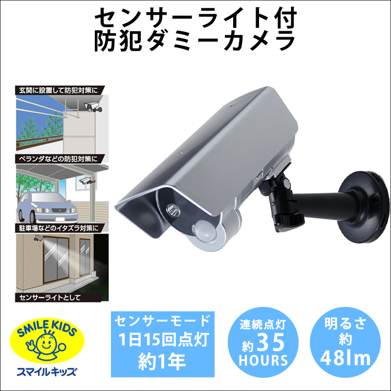 青山1/（i30）【ASL-3309】センサーライト付防犯ダミーカメラ（4962644665372）